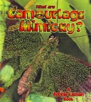 Book cover for What Are Camouflage and Mimicry?