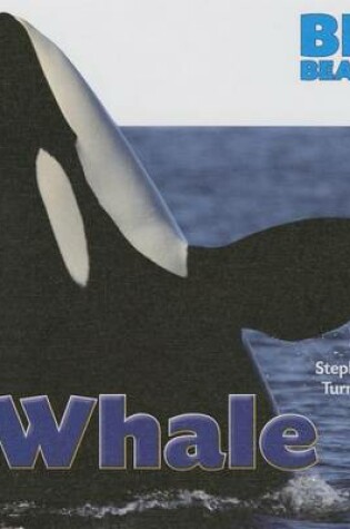 Cover of Whale