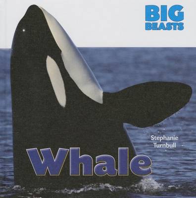 Cover of Whale