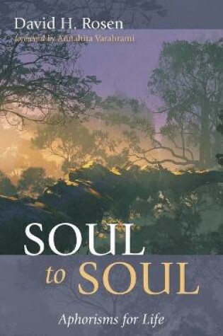 Cover of Soul to Soul