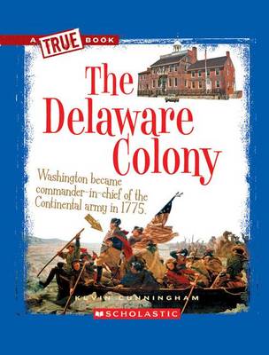 Book cover for The Delaware Colony