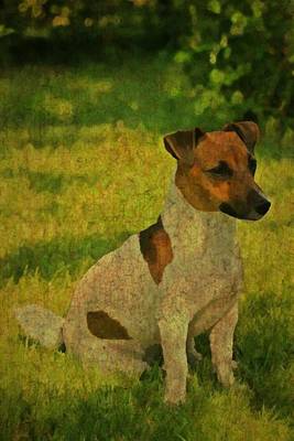 Cover of Russell Terrier