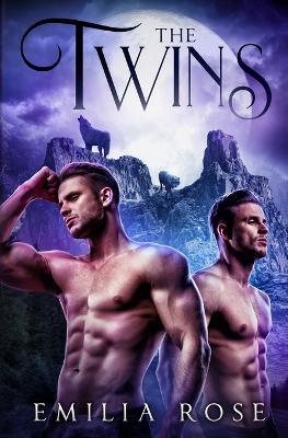Book cover for The Twins