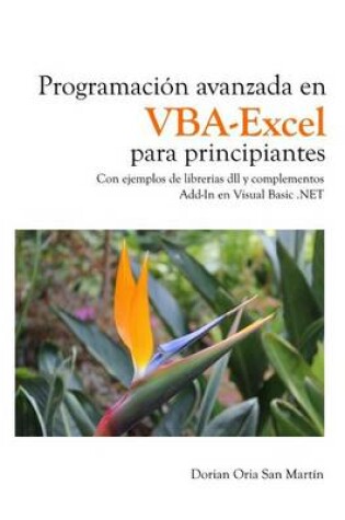 Cover of Programacion avanzada en VBA-Excel para principiantes