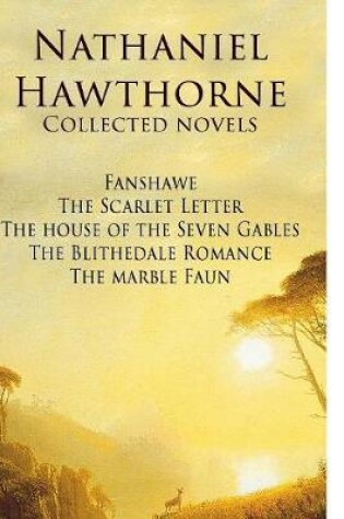 Cover of Nathaniel Hawthorne Collected Novels