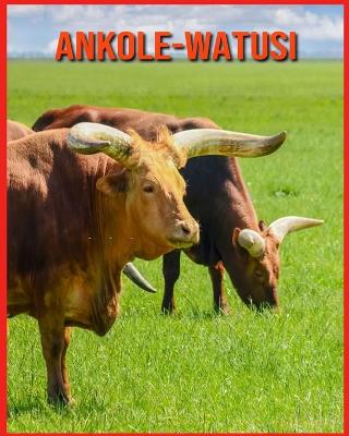 Book cover for Ankole-Watusi