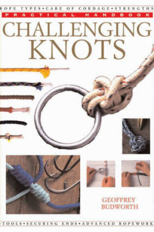 Cover of Challenging Knots