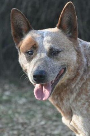 Cover of Say Hello to the Australian Cattle Dog Journal