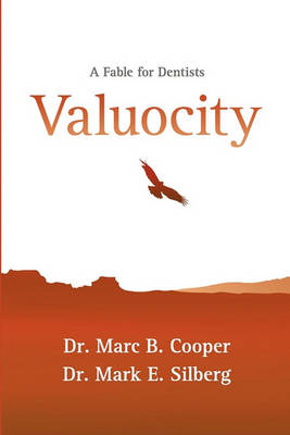 Book cover for Valuocity