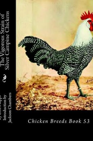 Cover of The Vigorous Strain of Silver Campine Chickens