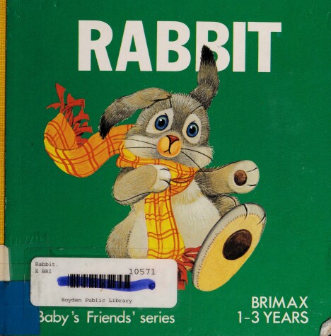 Book cover for Rabbit