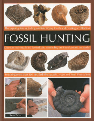 Book cover for Fossil Hunting