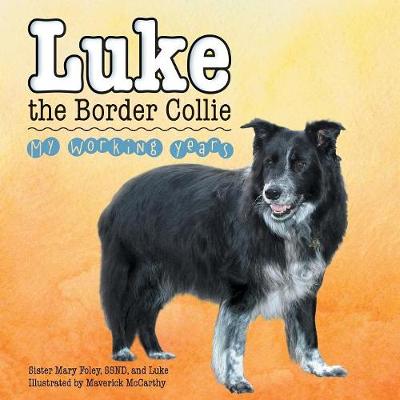 Book cover for Luke the Border Collie