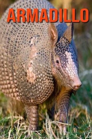 Cover of Armadillo