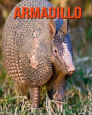 Book cover for Armadillo