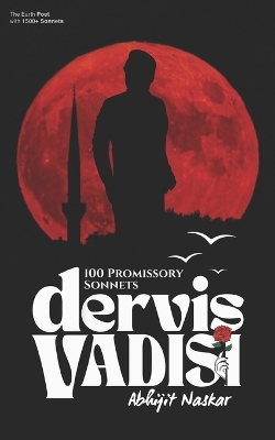 Book cover for Dervis Vadisi