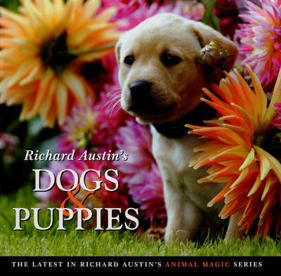 Book cover for Richard Austin's Dogs and Puppies