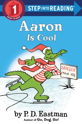 Cover of Aaron is Cool