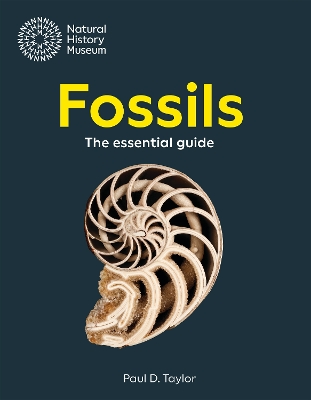 Book cover for Fossils