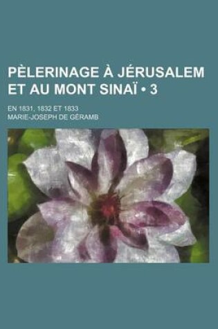 Cover of Pelerinage a Jerusalem Et Au Mont Sinai (3); En 1831, 1832 Et 1833