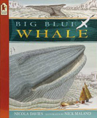 Cover of Big Blue Whale Big Book