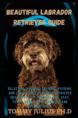 Cover of Beautiful Labrador Retriever Guide