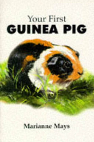 Cover of Your First Guinea Pig