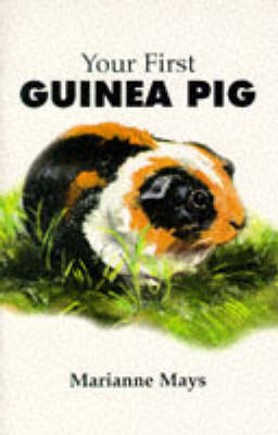 Book cover for Your First Guinea Pig