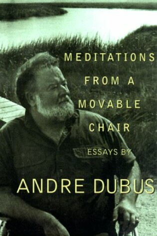 Cover of Meditations from Movable Chair