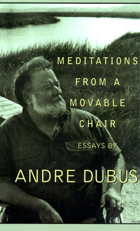 Book cover for Meditations from Movable Chair