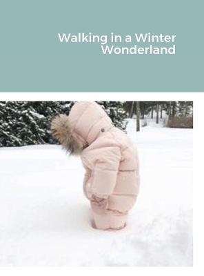 Book cover for Walking in a Winter Wonderland