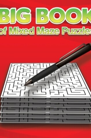 Cover of Big Book of Mixed Maze Puzzles