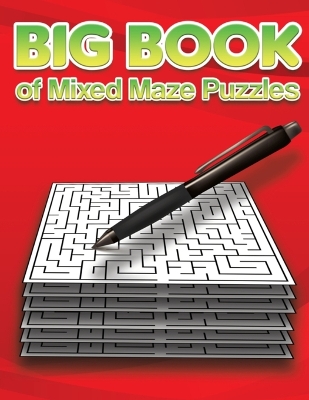 Book cover for Big Book of Mixed Maze Puzzles