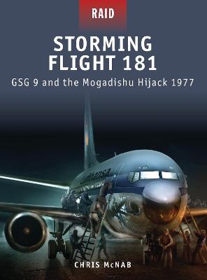 Book cover for Storming Flight 181