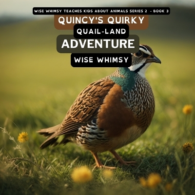 Book cover for Quincy's Quirky Quail-land Adventure