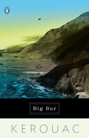 Book cover for Big Sur