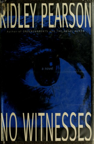 Book cover for No Witnesses