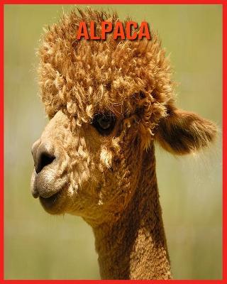 Book cover for Alpaca