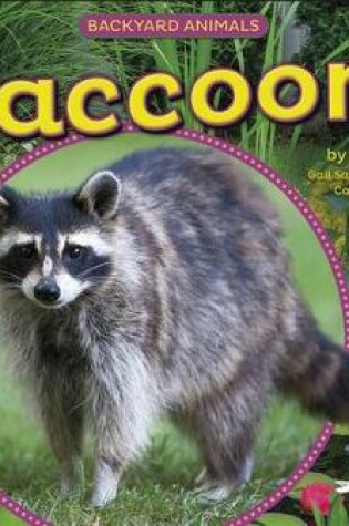 Cover of Raccoons