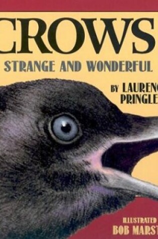 Cover of Crows!