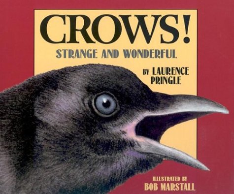 Cover of Crows!