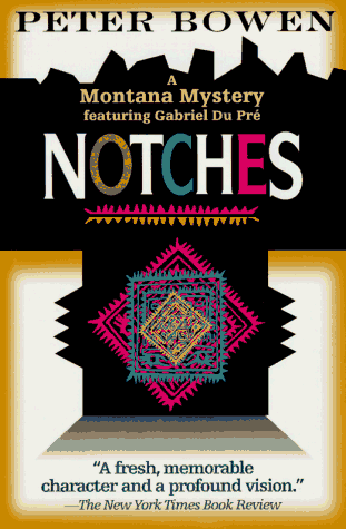 Book cover for Notches