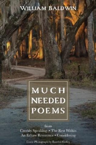 Cover of Much Needed Poems