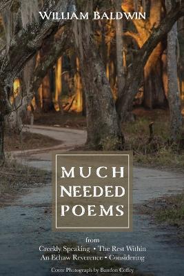 Book cover for Much Needed Poems