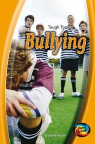 Cover of Bullying Big Book
