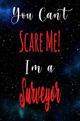 Book cover for You Can't Scare Me! I'm A Surveyor