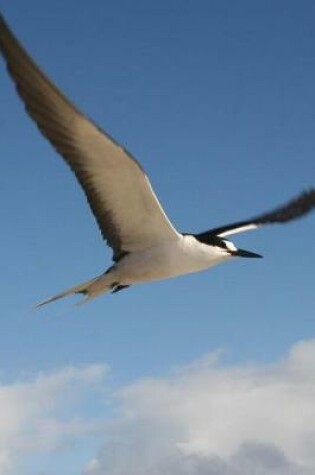 Cover of Sooty Tern Bird Journal (Sterna Anaethetus)