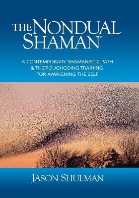 Book cover for The Nondual Shaman