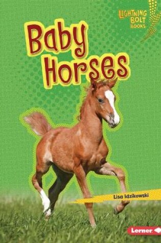 Cover of Baby Horses