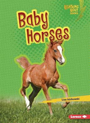 Book cover for Baby Horses